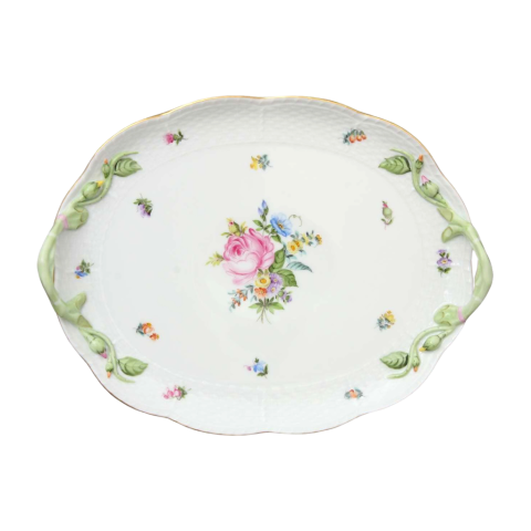 Dish