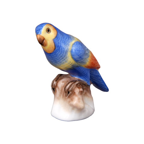 Parrot, sitting
