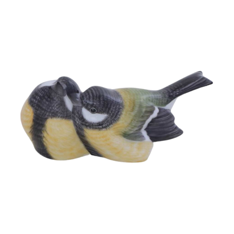 Pair of birds