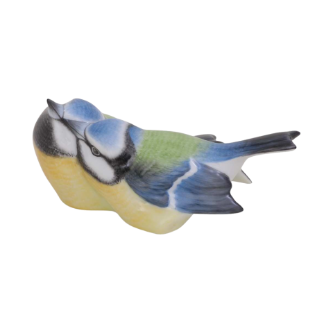 Pair of birds