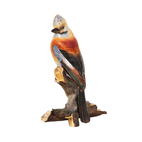Jay