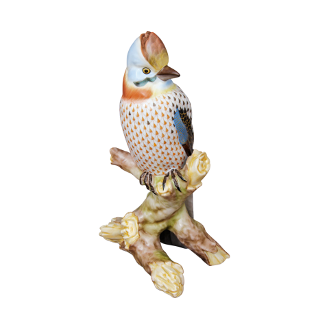 Jay
