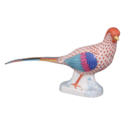 Goldpheasant