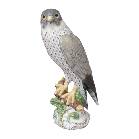Falcon