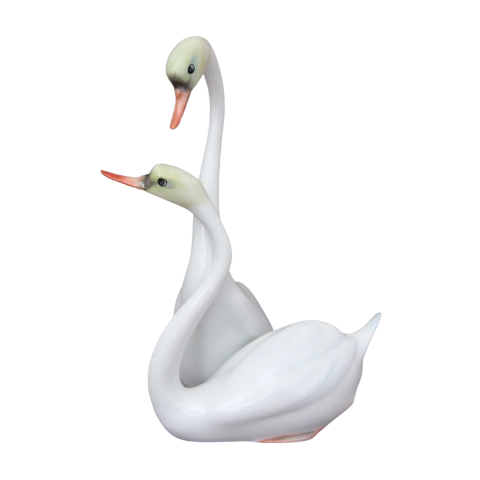 Pair of swans