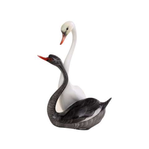 Pair of swans
