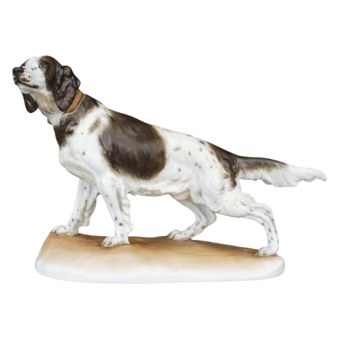 German setter