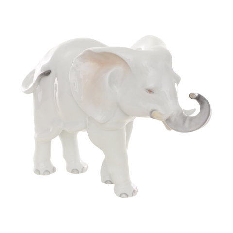 Elephant-baby