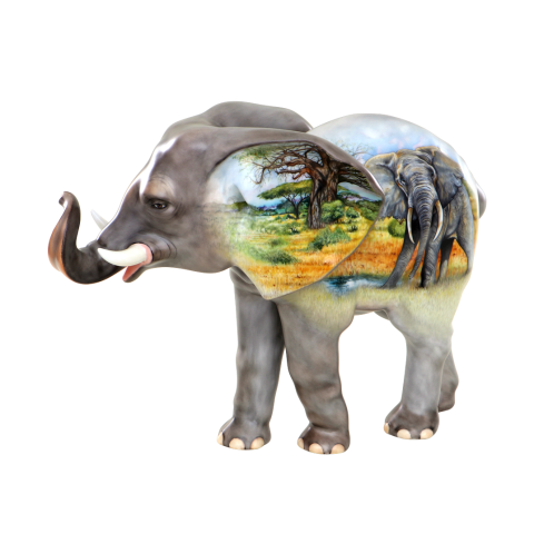 Elephant-baby