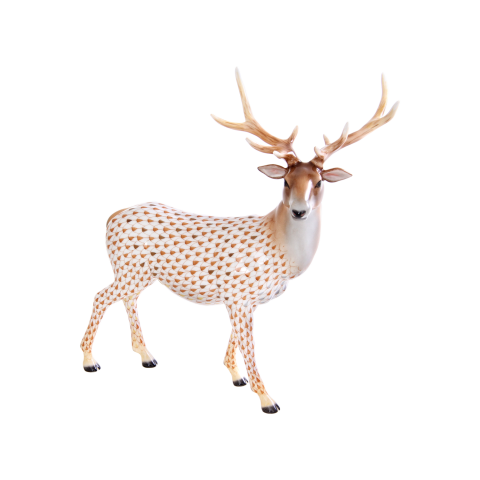 Elk