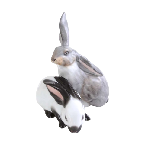 Pair of rabbits