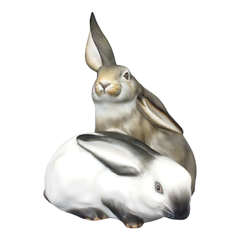 Pair of rabbits