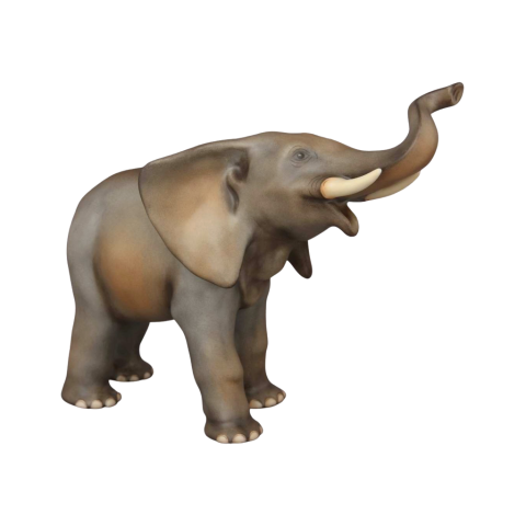 Mother Elephant