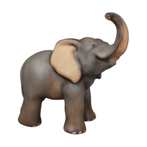 Baby Elephant