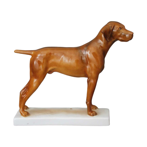 Hungarian pointer