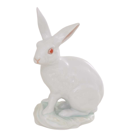 Rabbit, sitting