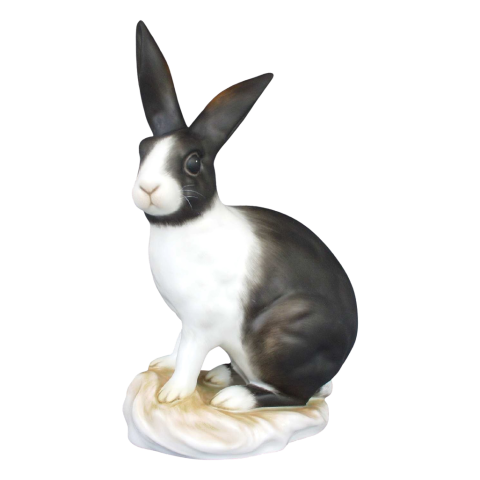 Rabbit, sitting
