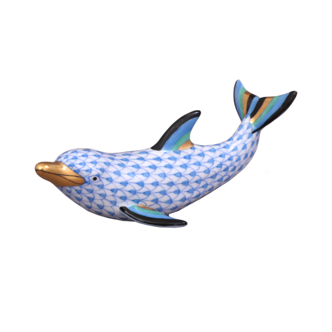 Playful dolphin