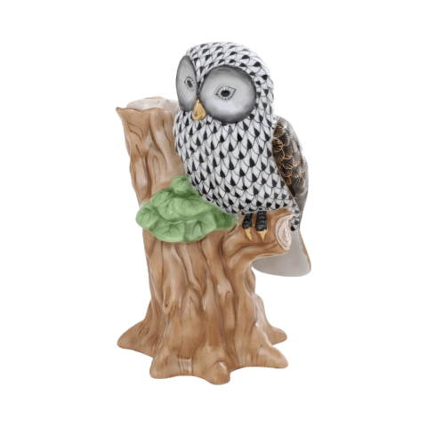 Owl on branch